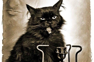 Пешеходная экскурсия «По следам черного кота…»