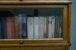 Интерактивная онлайн-игра по экспозиции музея имени Н.А. Островского